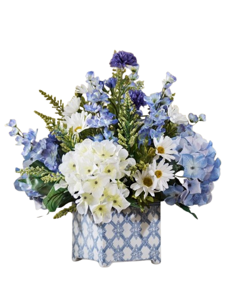 Hydrangea, Blue Michael and Golden