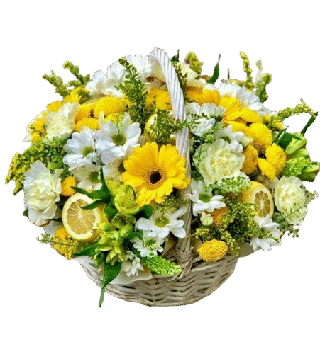 CFA_0010-_Gerbra__Roses_and_Chryshanthemum_in_Cane_Basket_10000-removebg-preview Gerbera, Roses and Chrysanthemum in Cane Basket