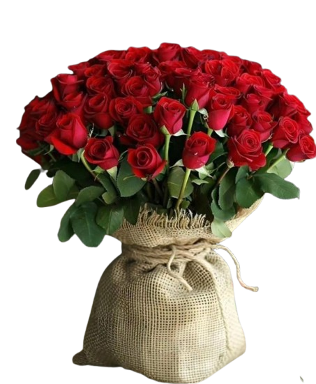 CFA_004-_35000_50_Red_Roses-removebg-preview 50 Red Roses