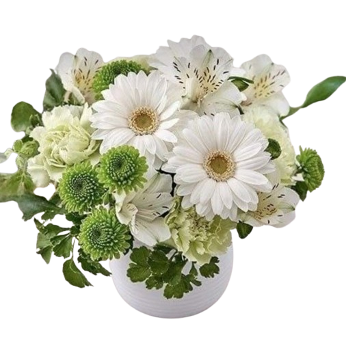 White and Green Chrysanthemum and Gerbera