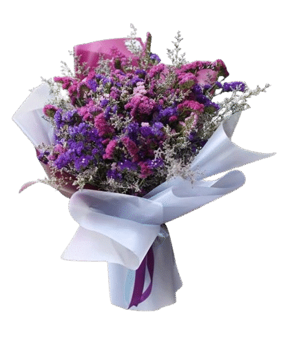 CFB_0010_-_12_000_Blue_Michael__Statice_and_Limonium-removebg-preview Statice, Limonium