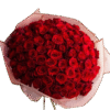 100 Red Roses