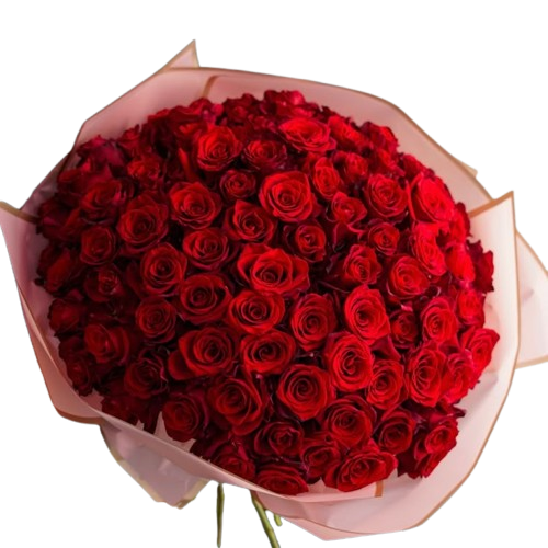 100 Red Roses