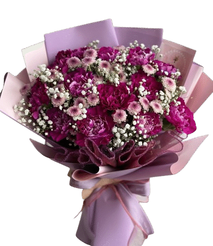 CFB_14-_Chryshanthemum__Baby_s_breath_10000-removebg-preview Chrysanthemum, Baby's breath